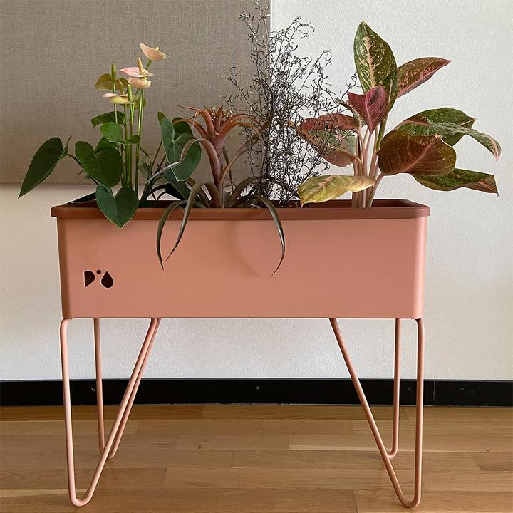 Immagine prodotto Pia-Plantbox Fioriera media (20 cm)