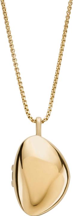 Skagen Collier Kariana (Acier inoxydable, 40 - 45 cm)