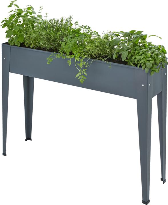 Image du produit tectake Potager sur pied CALENDULA