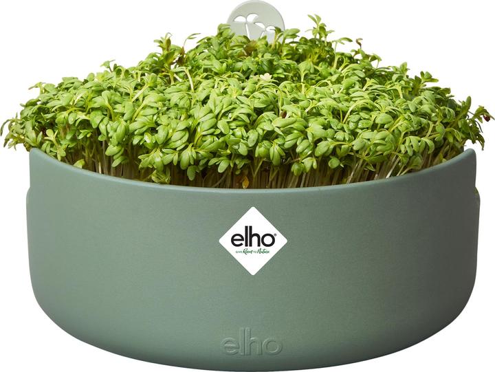Produktbild Elho Magic Microgreens (16.80 cm)