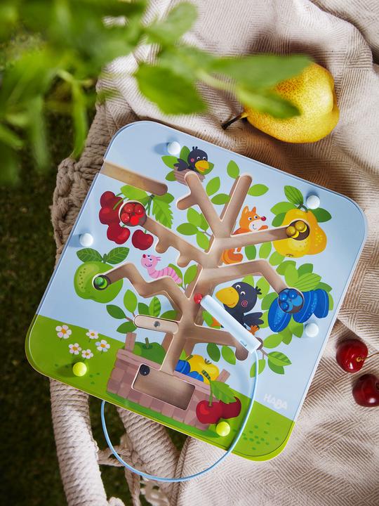 Actual product image Haba Magnet games