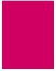 Actual product image Bourjois Rouge Velvet The Lipstick (09 Fuchsia Botté)