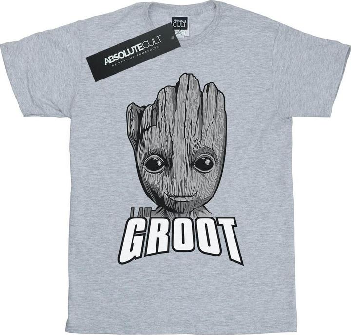 Grigio