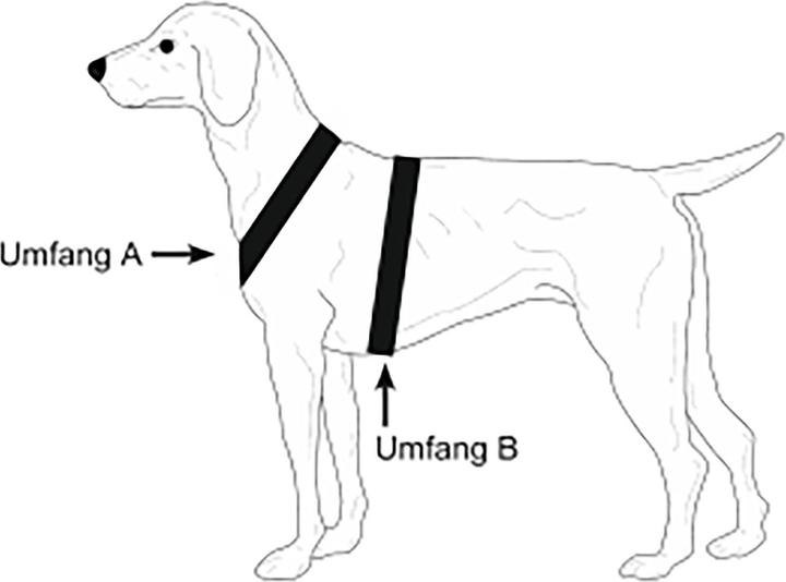 Actual product image Niggeloh Dog Harness Follow Light (M, Dog, General)