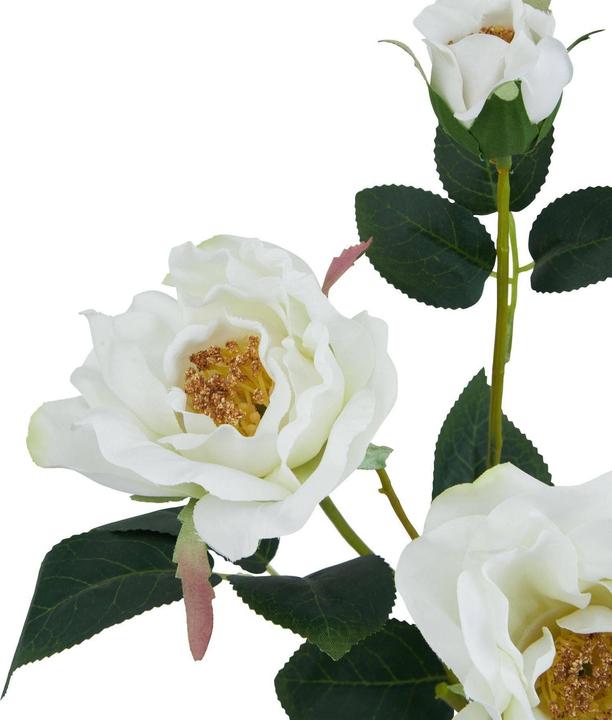 Immagine prodotto Hill Interiors The Natural Garden Collection Rosa Tea Fiore Artificiale (60 cm)
