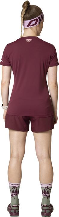 Image du produit Dynafit Chemise alpine (L)