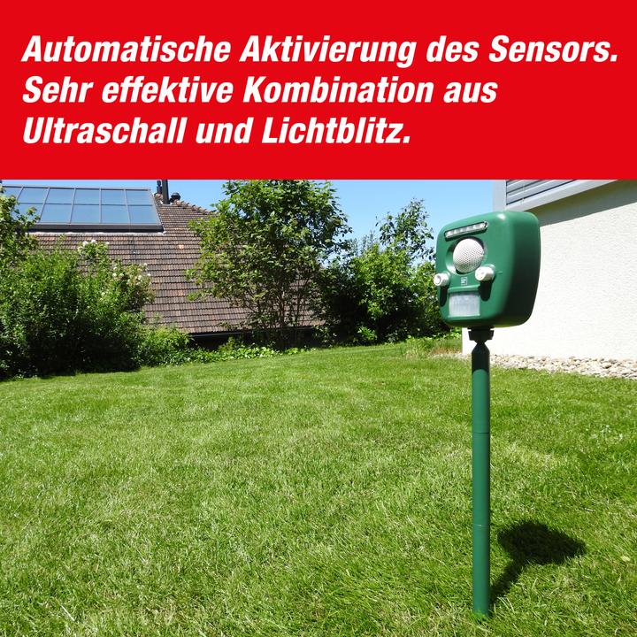 Actual product image Swissinno Ultraschall Tiervertreiber PRO