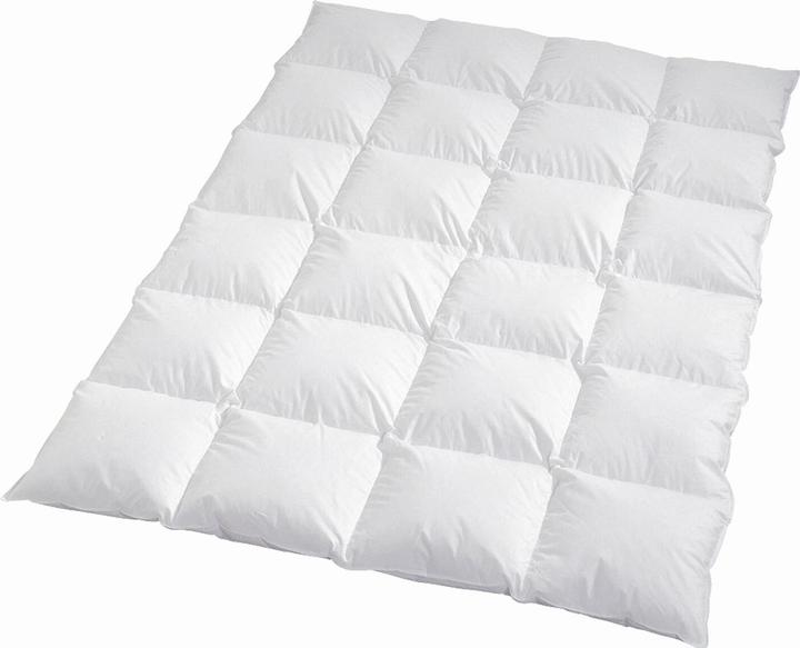 Produktbild Traumschlaf Himalaya (1900 g, 240 x 220 cm)