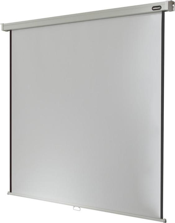 Celexon Professional manual - screen - ceiling mounting possible, suitable for wall mounting (64.17", 16:9)