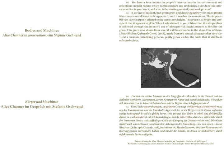 Immagine prodotto Alice Channer (Tedesco, Inglese, Stefanie Gschwend/ Museo d'arte/Galleria d'arte di Appenzello, Alice Channer, 2023)