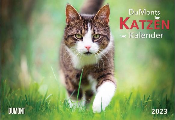 Cats (42 x 29 cm, Soft cover, German)