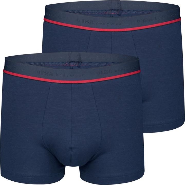 ISA Bodywear Panty Alex 2er-Pack