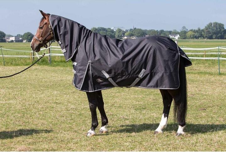 Produktbild Harry's Horse Thor (175 cm)
