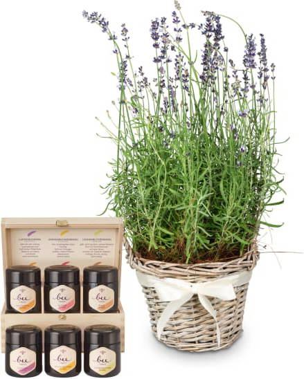 Immagine prodotto Fleurop Profumo di Provenza (lavanda) e set regalo con diversi tipi di miele