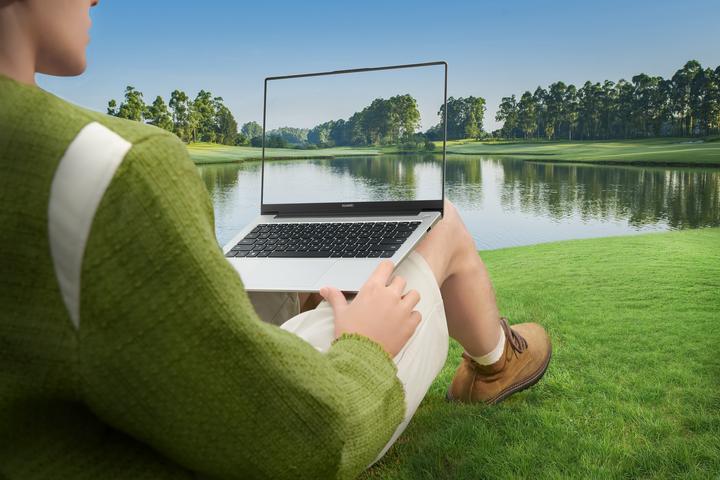 Produktbild Huawei D14 2024 (14", Intel Core i5-12450H, 8 GB, 512 GB, DE)