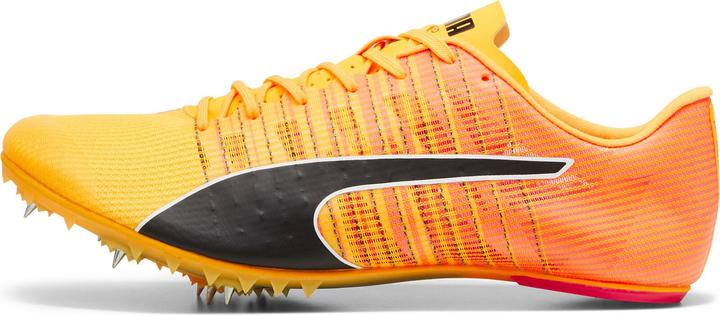 Produktbild Puma evoSPEED FUTURE 6 (37.5)