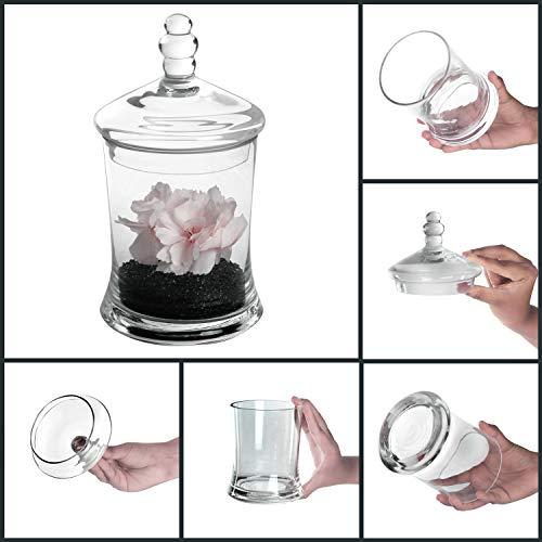 Immagine prodotto Belle Vous Contenitore di vetro (0.70 l)