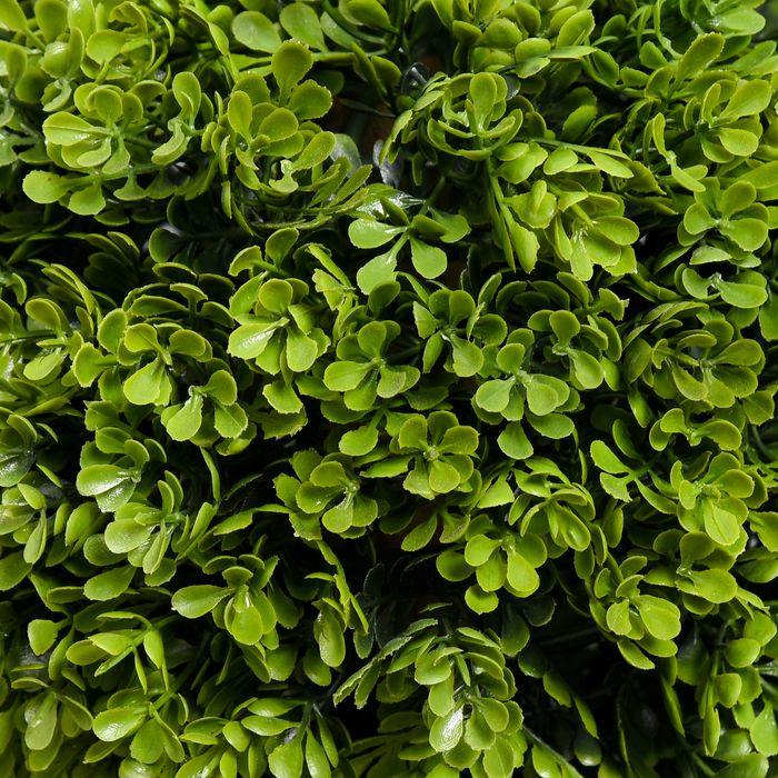 Produktbild Swisshandel24 Künstliche Pflanze, 90 cm Buchsbaum im Blumentopf, UV-Schutz, Zimmerpflanze für Wohnzimmer, Balkon (90 cm)