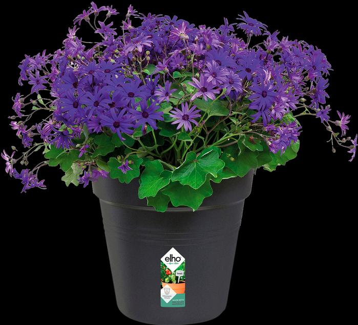 Immagine prodotto Elho Green Basics (27 cm)