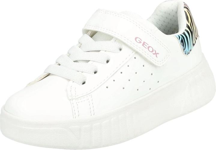 Geox Sneaker (29)