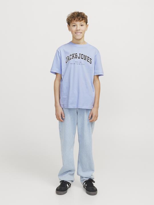 Produktbild Jack & Jones Jjecaleb Varsity Tee Ss O-Neck Noos Jnr (176)