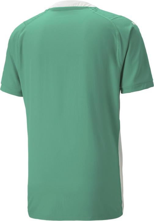 Actual product image Puma teamCUP Jersey (L)