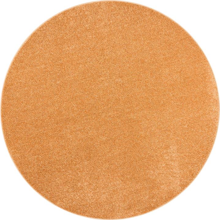 Produktbild Snapstyle Hochflor Velours Teppich Luna Rund (Ø 100 cm)