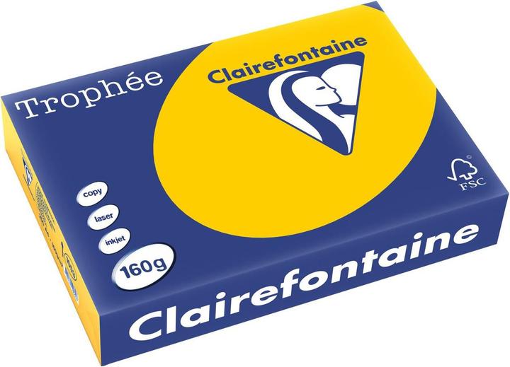 Produktbild Clairefontaine Trophée (160 g/m², 250 x, A4)