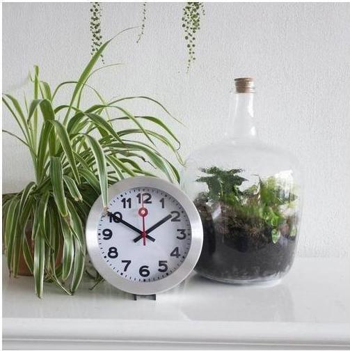 Immagine prodotto Nextime Arabo (19 cm)