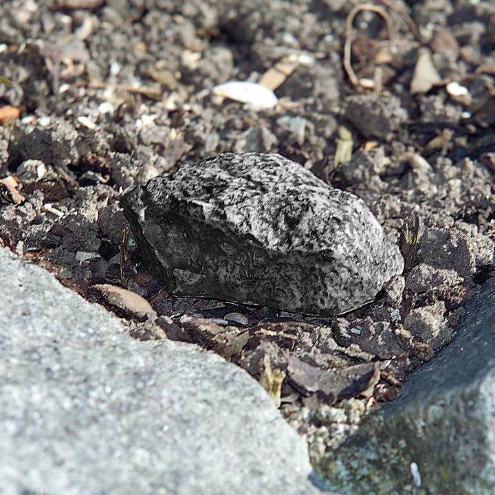 Image du produit Lunartec Cachette secrète