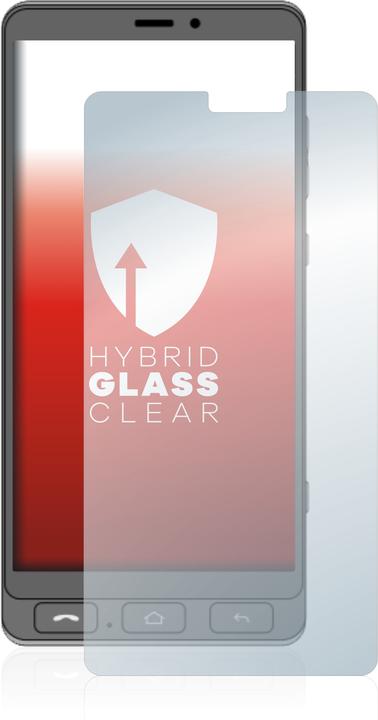 Actual product image upscreen Scratch Shield (1 Piece, Olympia Neo)
