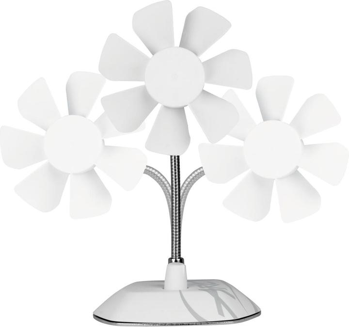 Immagine prodotto Arctic Breeze