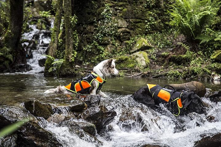 Immagine prodotto Julius-K9 Vestina multifunzionale (M, Giubbotto di salvataggio per cani)