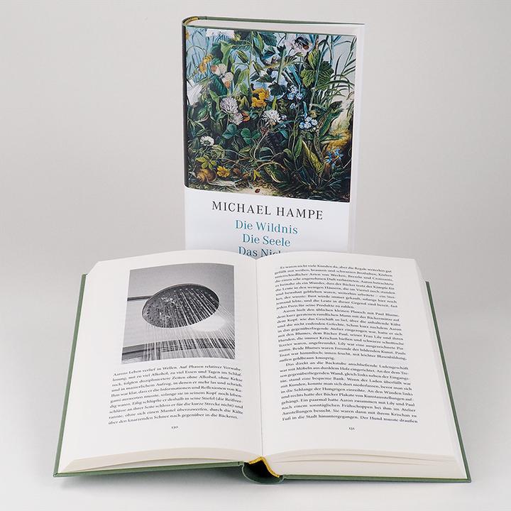 Actual product image Die Wildnis, die Seele, das Nichts (German, Michael Hampe, 2020)