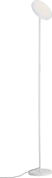 Bianco