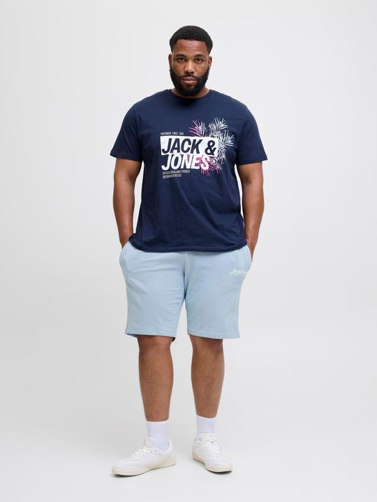 Produktbild Jack & Jones Plus Size Regular Fit Regular Fit Shorts Regular Fit Shorts (42)