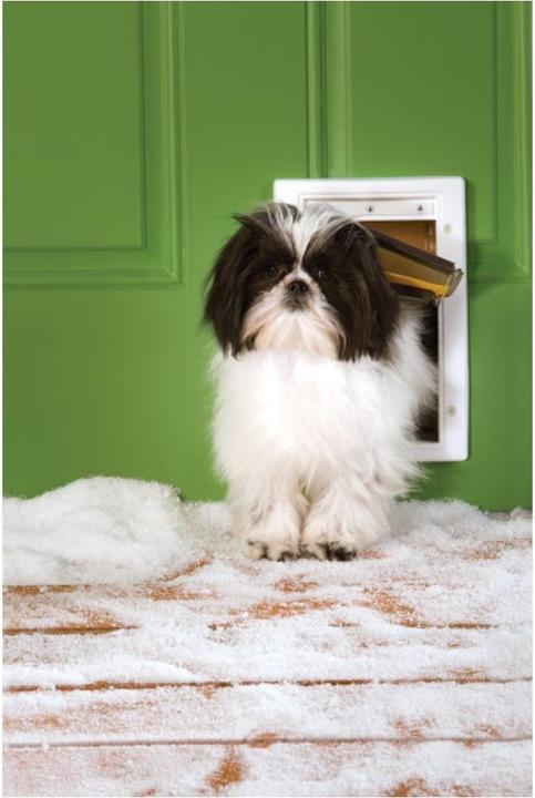 Produktbild PetSafe Hundeklappe Extreme Weather (Manuelle Katzenklappe)