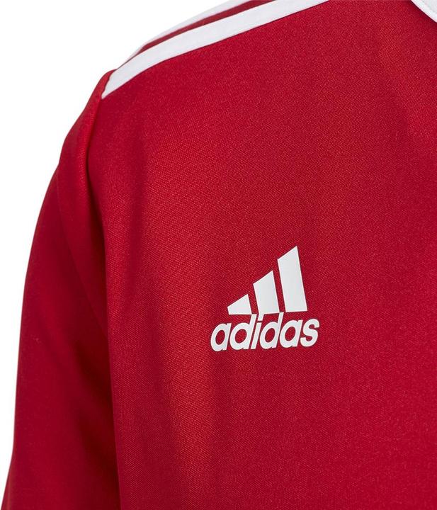 Actual product image adidas Entrada 18 Jersey Kids (128)