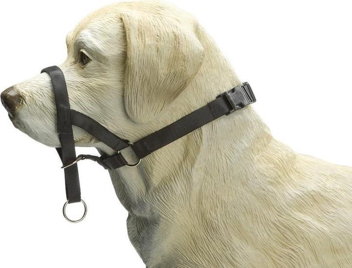 Actual product image Beeztees Bz Dog Control XS Schwz (XS, Dog, General)