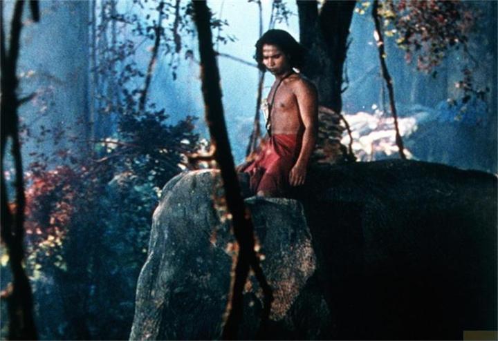 Actual product image Plaion The Jungle Book (Blu-ray, 2022, German, English)
