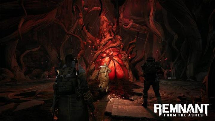 Image du produit THQ Remnant : From the Ashes (Xbox One X, Xbox Series X, DE)