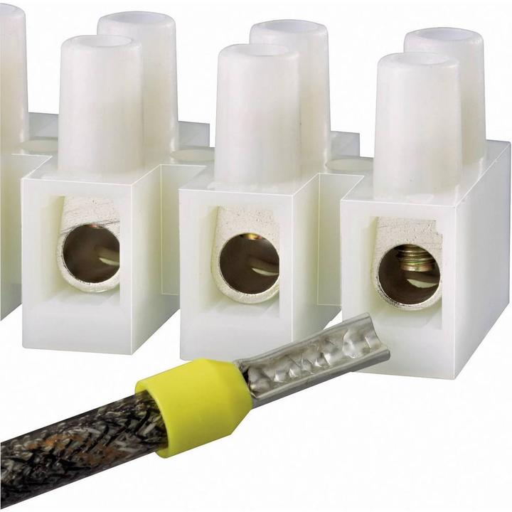 Produktbild Tru Components Lüsterklemme