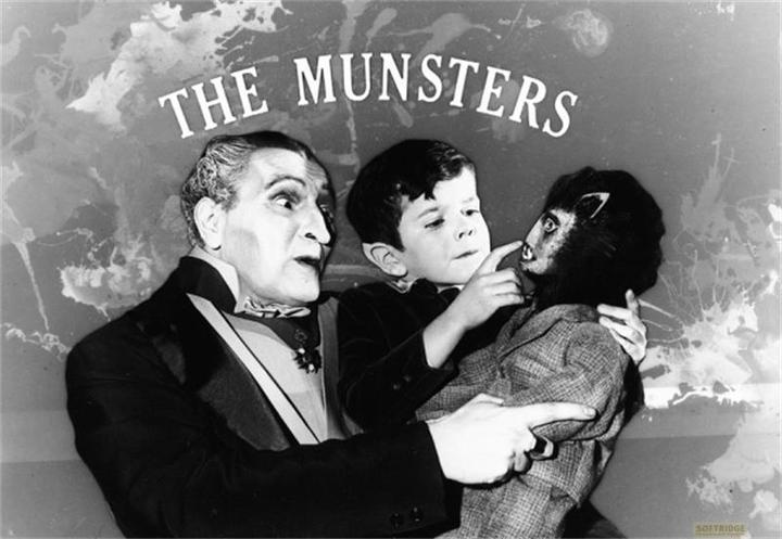 Produktbild Plaion Die Munsters - Die komplette Serie (Keepcase) (14 DVDs) (DVD, 2018, Deutsch, Englisch)