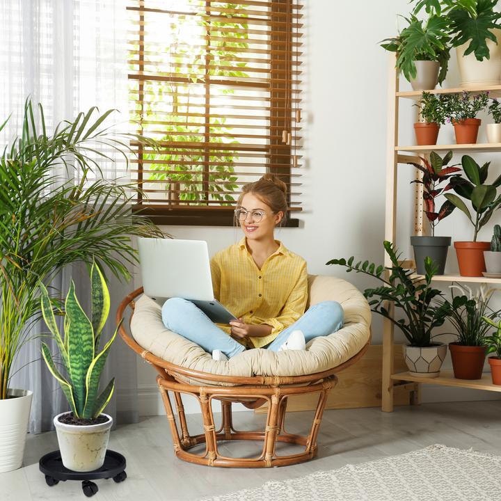 Produktbild Relaxdays Pflanzenroller