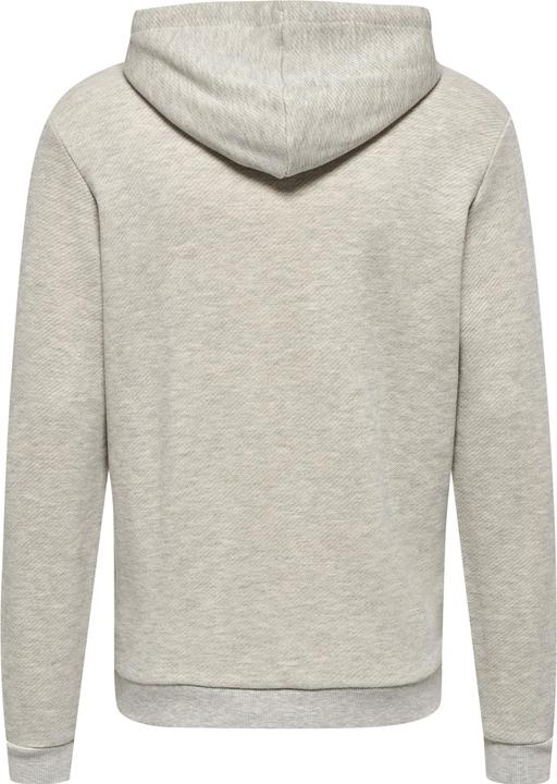Actual product image hummel Lgc Austin Hoodie (XXL)