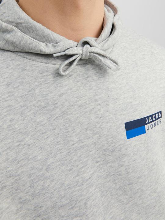 Image du produit Jack & Jones Logo Hoodie (XS)