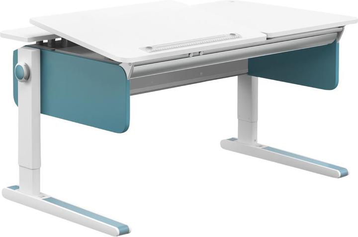 Moll Champion Left Up (120 x 53 cm)