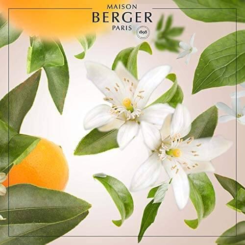 Produktbild Maison Berger Orange Blossom (500 ml)