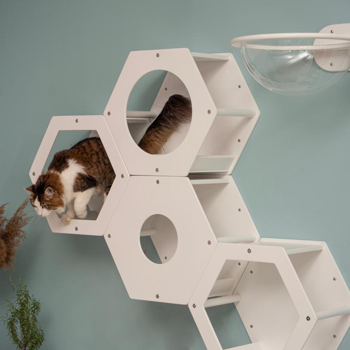 Actual product image Wowhelperco Climbing wall for cats 8-piece (White)