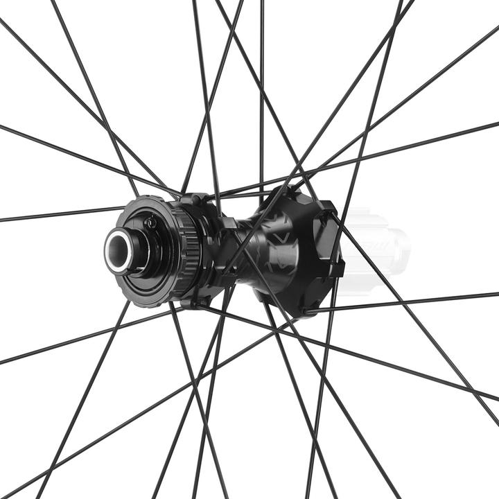Actual product image Campagnolo Levant DB (Rear wheel, 28")